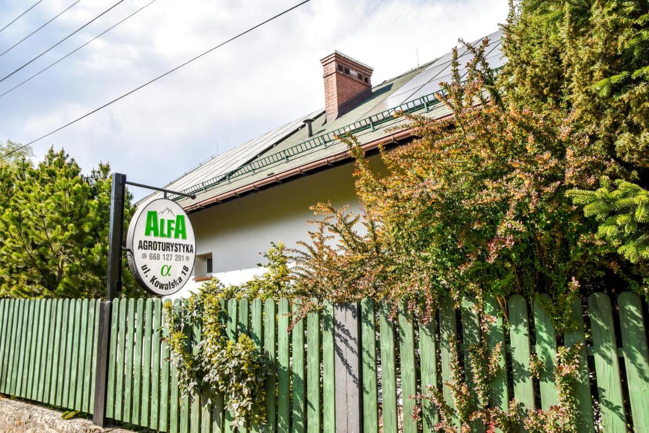 Agroturystyka Alfa Bystra  Exterior photo